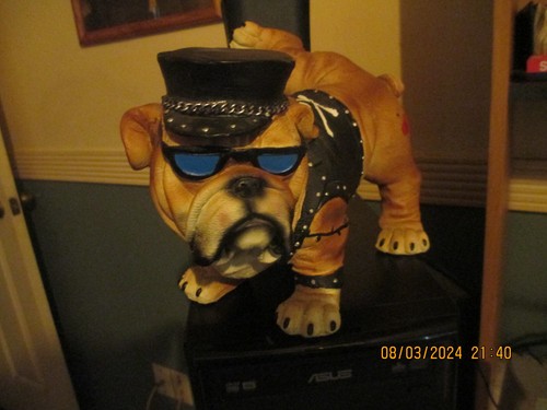 VTG BIKER BULL DOG WTH CAP AND SUNGLASSES