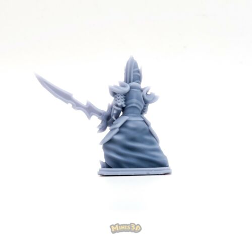Dark Elf - HQ Dungeon - Minis3D - Picture 16 of 22
