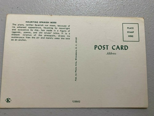 VINTAGE LEGEND OF THE SPANISH MOSS POSTCARD - Picture 2 of 2