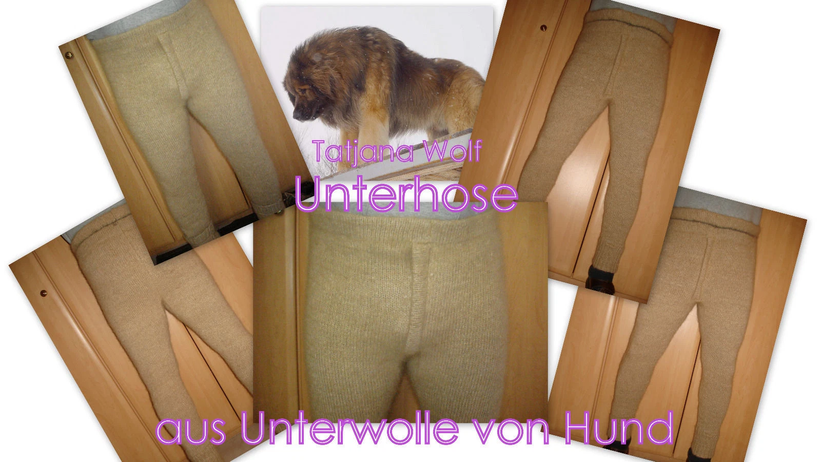 Bild 11 von 11