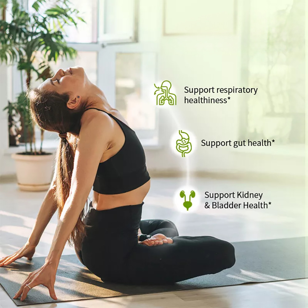 Oregano Oil 4000mg per Serving Contains Carvacrol 120 Capsules by AmerDon