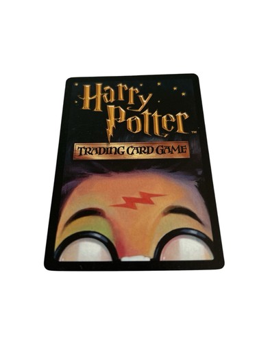 Hagrids Haus Holo Foil 12/80 Abenteuer in Hogwarts Harry Potter TCG - Bild 2 von 2