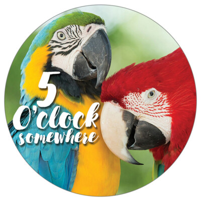 Parrots 5 OClock Somewhere- Stone Car Coaster CB72839 | eBay
