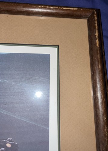 California Native Species Stamp salamander Edward Brooks signed Numbered Rare - Picture 10 of 17