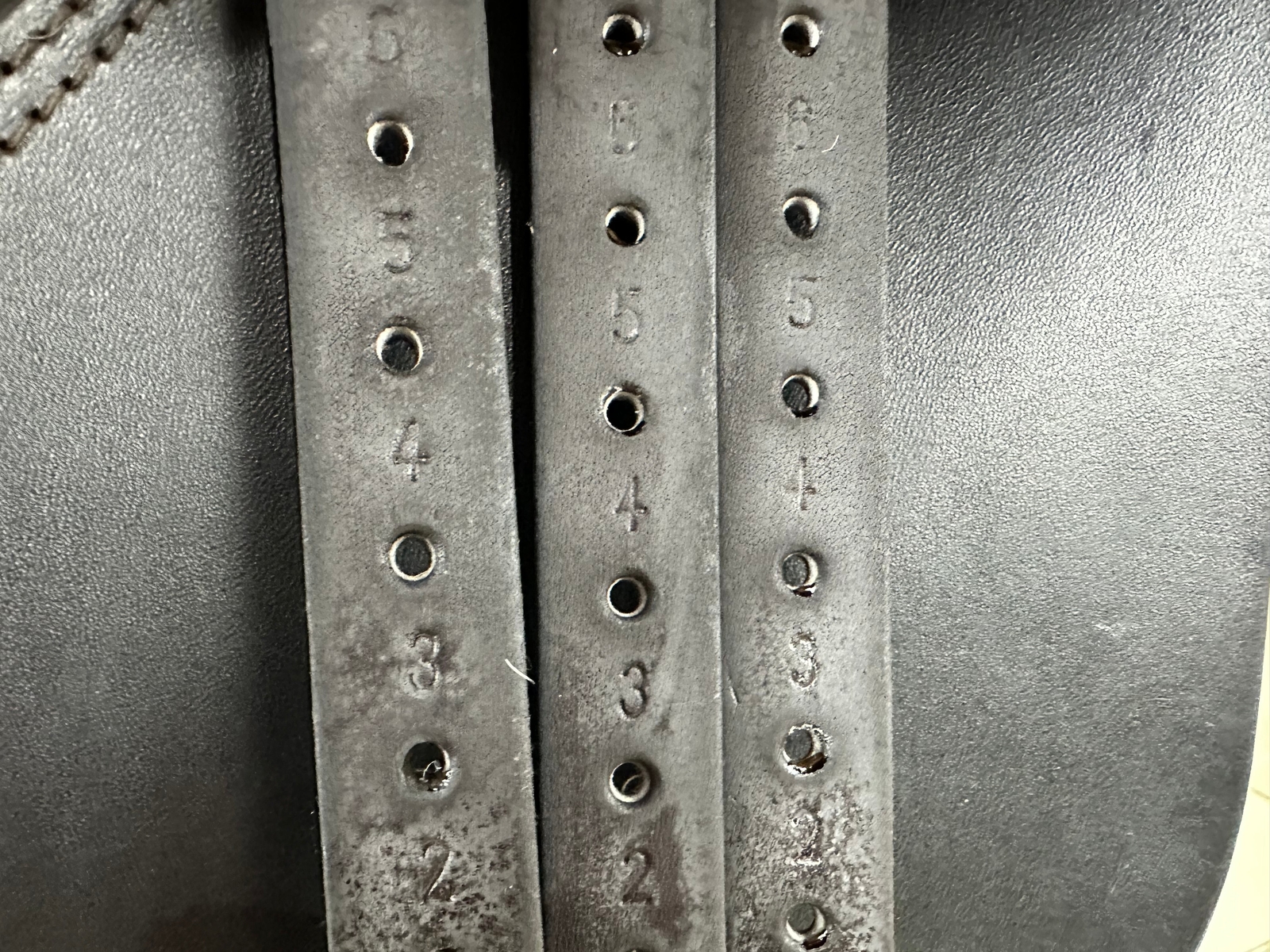 Picture 5 of 20