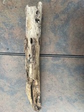 Natural Driftwood for Plants Terrarium Taxidermy Art Projects