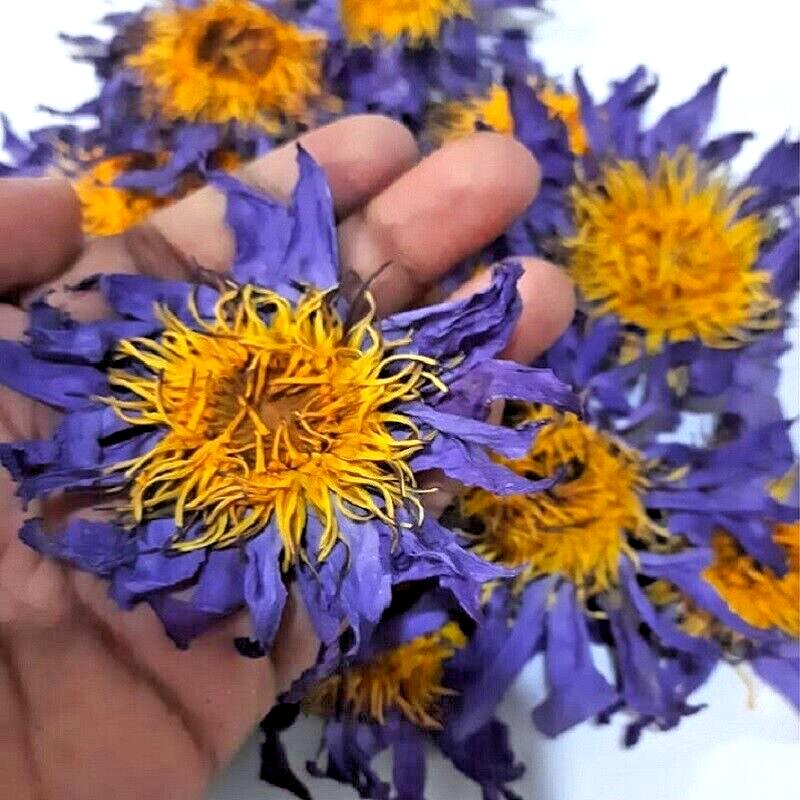 80g Blue Lotus Flowers Nymphaea Caerulea Dried Whole Flowers For Smoke & Tea