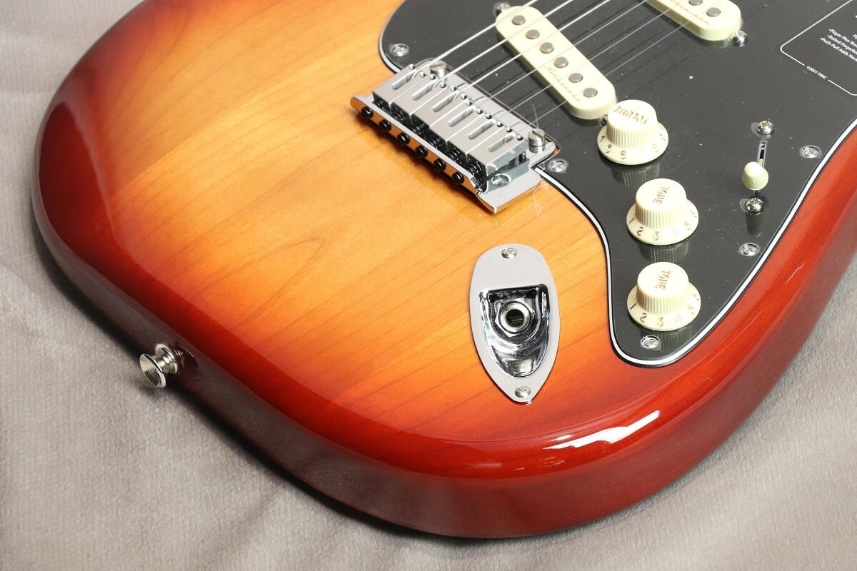 Fender Player Plus Stratocaster Electric Guitar Sienna