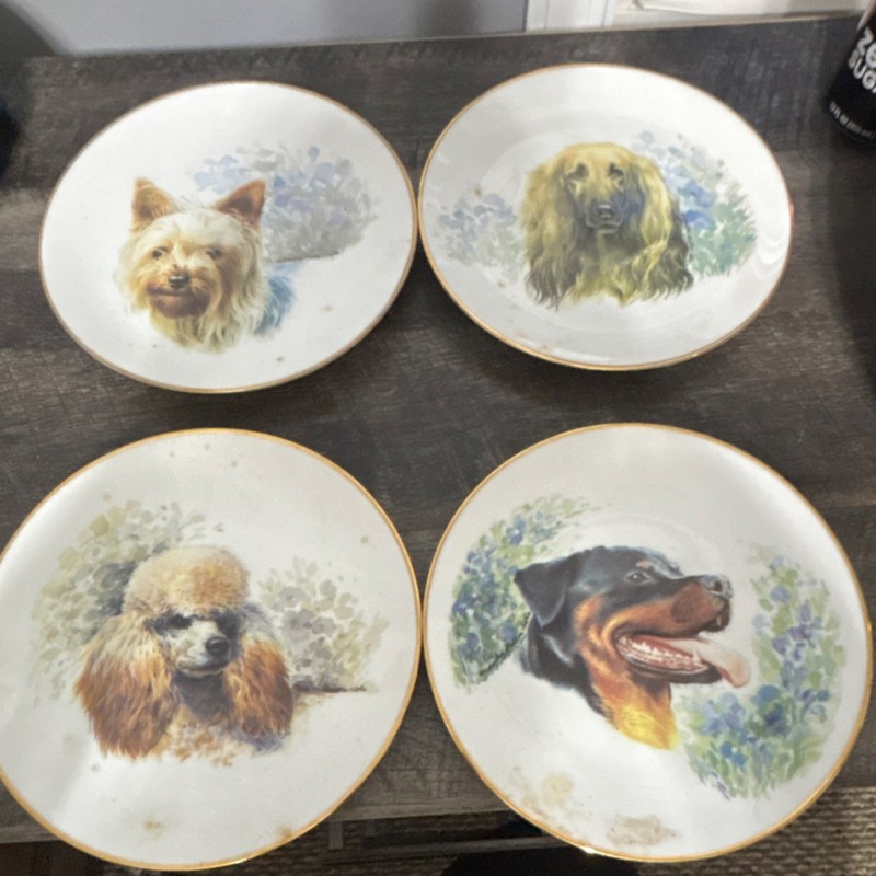 4pc Round Dog Portrait Decorative Collector Plate Set White Multicolor
