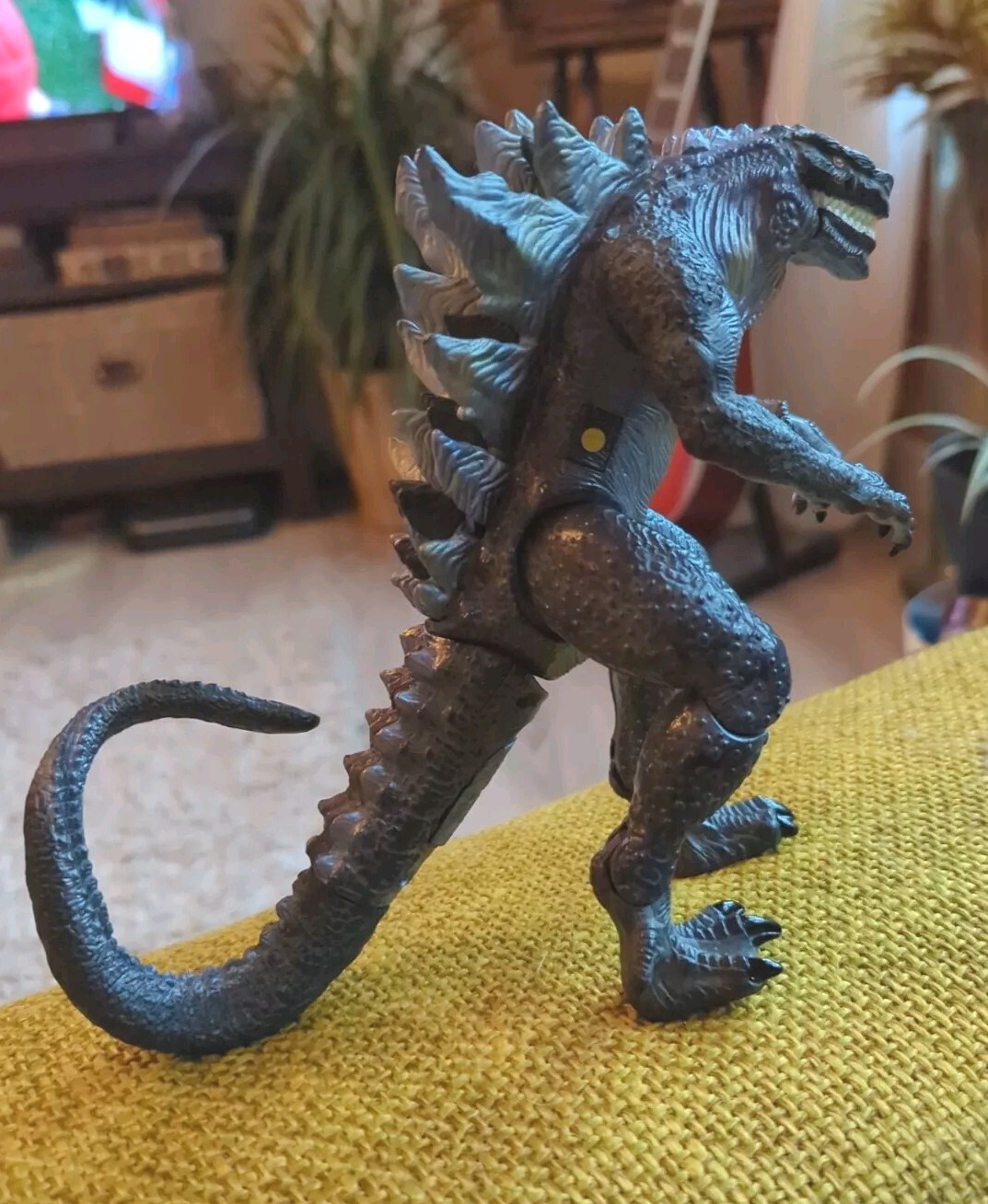 Picture 3 of 11