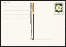 Postkarte P164 - 45 Cent - Margerite (mit Rahmen) - postfrisch / ungebraucht