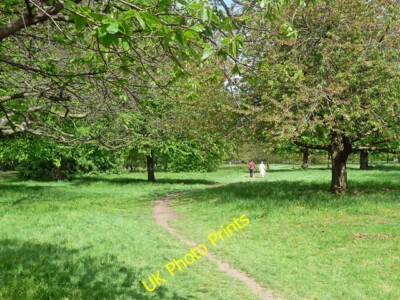 Foto 6x4 Pfad, Hyde Park Westminster Ein Paar zu Fuß durch ein Gebiet von c2015