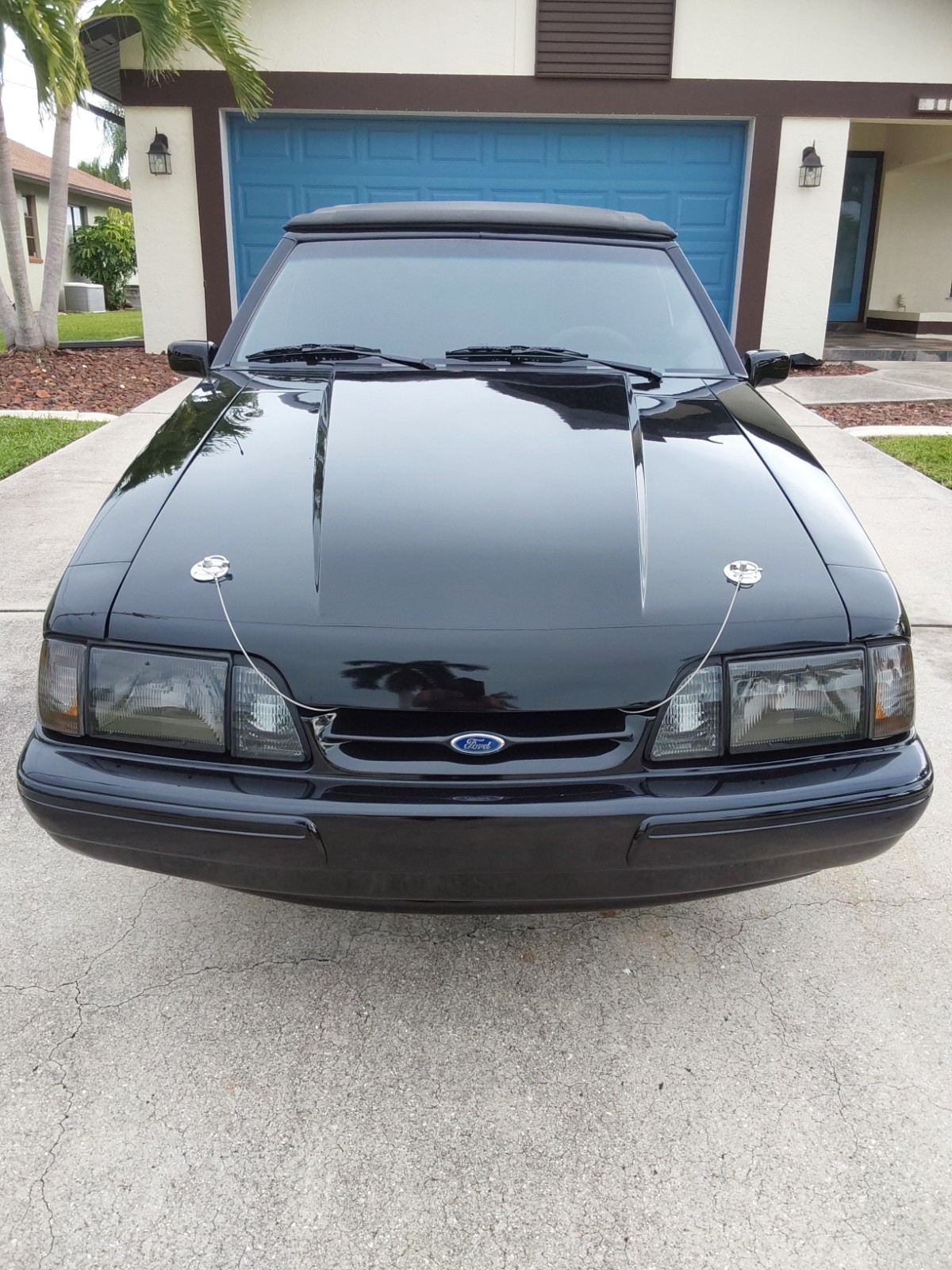 1988 Ford Mustang for sale in Cape Coral Florida