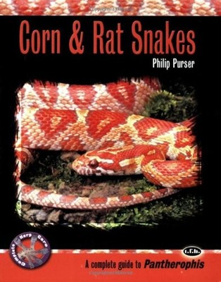 Corn and Rat Snakes : A Complete Guide to Pantherophis Perfect Ph