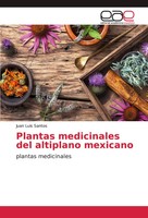 Juan Luis Santos | Plantas Medicinales Del Altiplano Mexicano | Taschenbuch