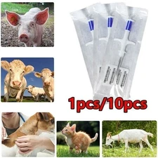 10pcs Microchips 1.4 x8mm Pet Mini Microchip ID TAG Animal Dog Cat Horse Animal