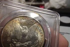 1890-P Morgan Silver Dollar Freshly graded  PCGS MS61 Beauty!