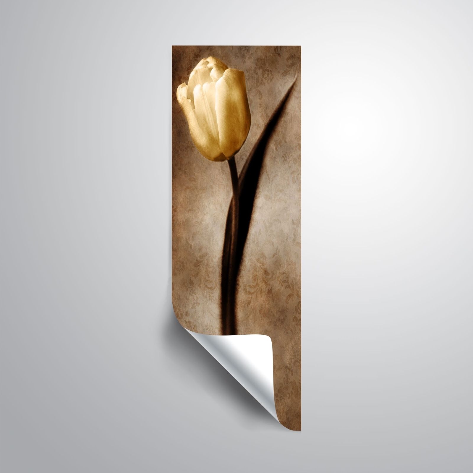 ArtWall Christine zalewski 'Damask Tulip II' Removable Wall Black 8x24