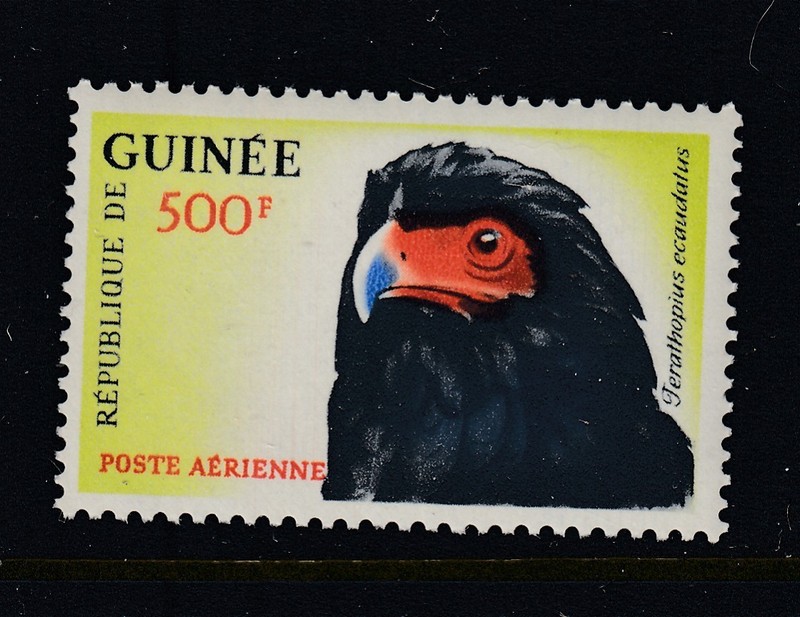 Guinee #C43 Bird Airmail (Mint Never Hinged) cv$11.00