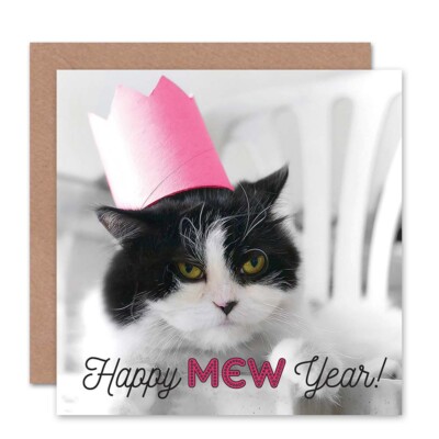 Jahr Hogmanay mürrische Katze neu leere Grußkarte mit Umschlag
