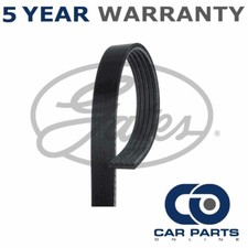 Gates V-Ribbed Belts Fits Range Rover 5 Series 7 Series 944 Lanos - GAT3514