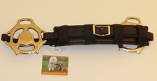 Barock Hackamore PICCOLO BioThane Edelstahl Gebisslos Nasenriemen RHRH