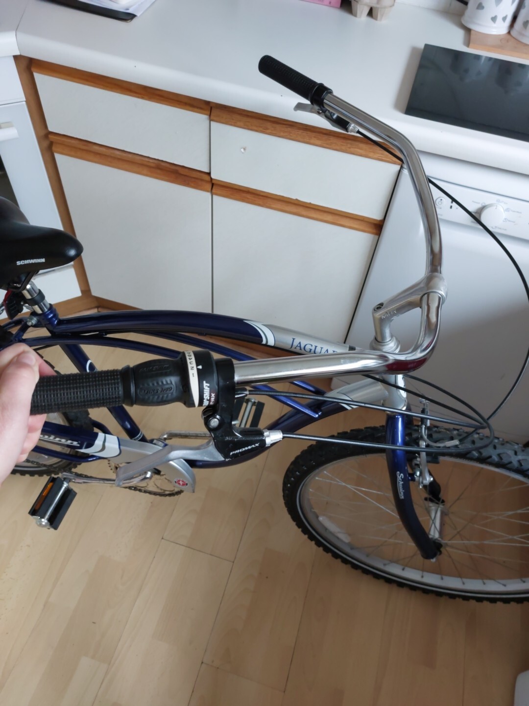 land cruiser bicycle