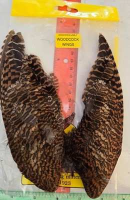 Veniard   Woodcock Wings natural