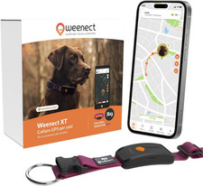 Dog XT - NUOVO Collare GPS per Cani | Antenna XL | Impermeabile | Collare Ultra-