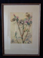 Marianne Schneegans Farbdruck Druck Kunst Disteln gerahmt um 1950/60 Vintage