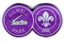 Gilwell Park / Woodbadge Patch - very limited...