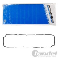 Victor Reinz Ventildeckeldichtung Passend FüR CitroËN Jumper Fiat Ducato Ford