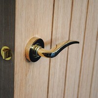 Corsica Internal Lever on Rose Door Handle in Brass or Satin