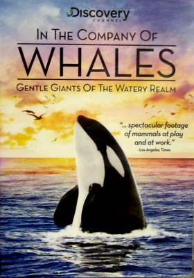 In the Company of Whales,NEW! DVD, Discovery Channel,Educational Nature Wildlife