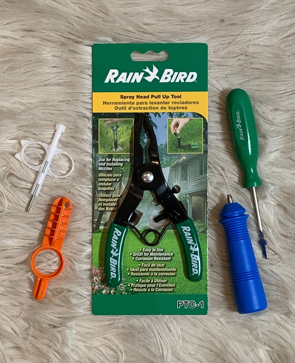 Image showcasing Rain Bird Sprinkler System Repair