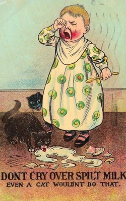 Weine nicht über verschüttete Milch, selbst eine Katze würde das nicht tun - Comic Postkarte N44