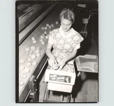 Sorting & Packing FRESH FRUIT Sara Kessler TOPPENISH Washington 1958 Press Photo