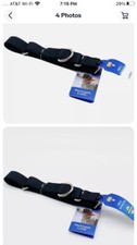 PetSafe Martingale Dog Collar, Alternative to Choke Collar Black Medium 1  