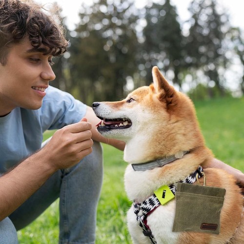 Dog Treat Bags Training Pouch Portable Puppy Dog Training Treat Pouch Auto Closi - Picture 7 of 7