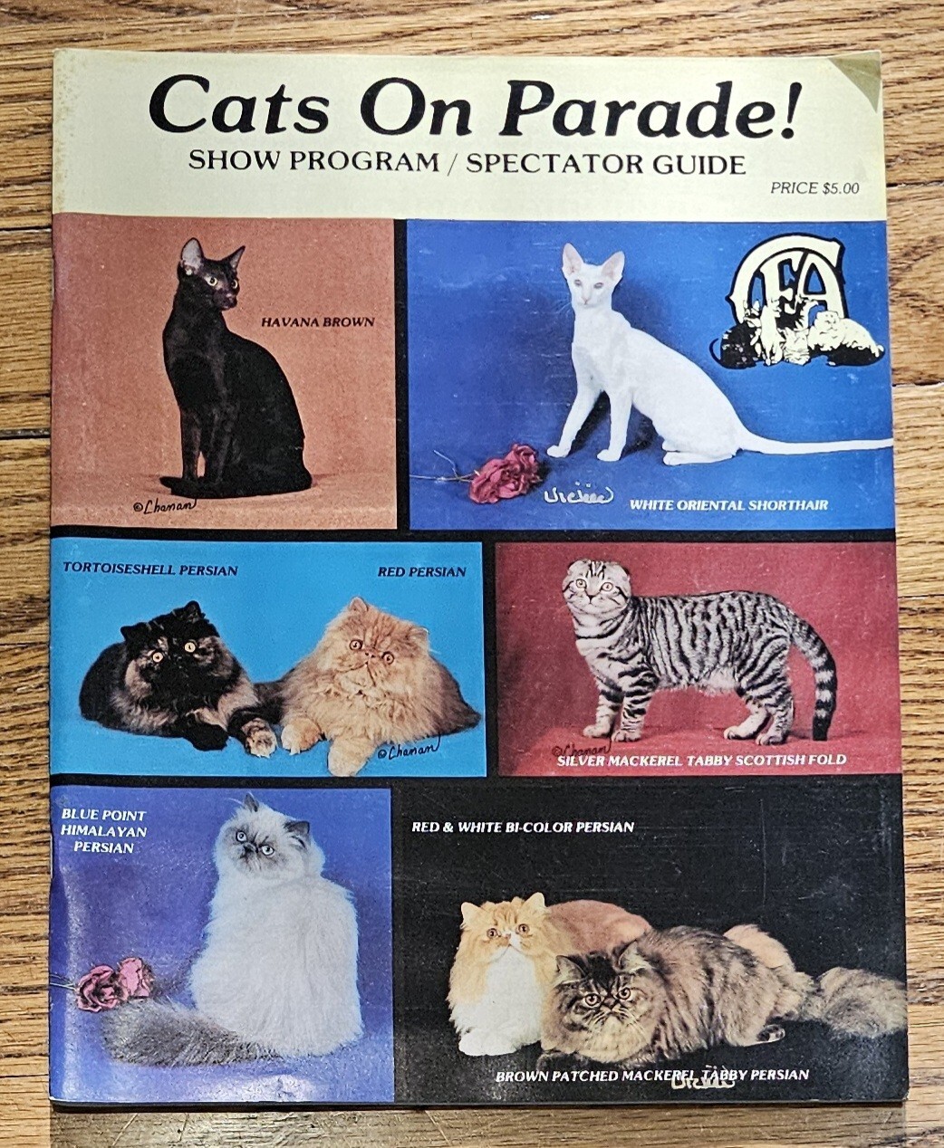 1988 CFA Cats on Parade Show Program Spectator Guide Persian Oriental Scottish-image