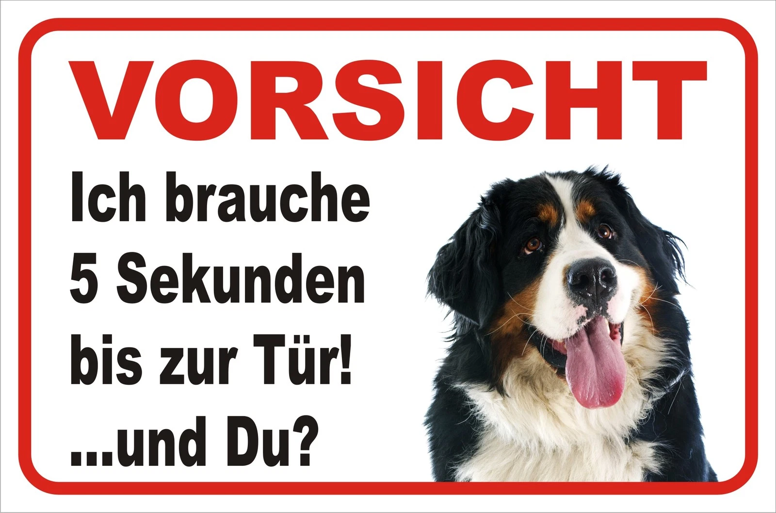 Bild 7 von 7
