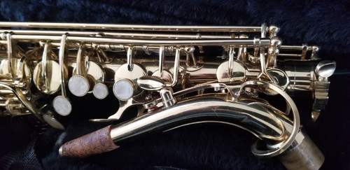 Etude EAS-200 Student Series Alto Saxophone Lacquer w Hard Case - Picture 4 of 13