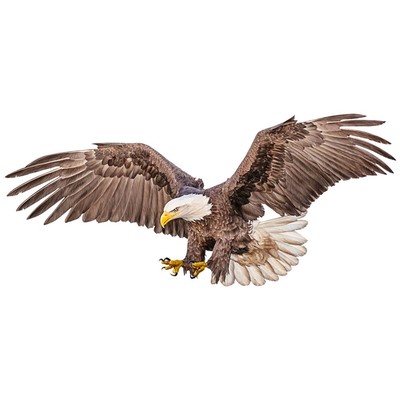  Vivid Eagle Wandaufkleber, dekorativer Wandaufkleber, Wandtattoo, Dekoration