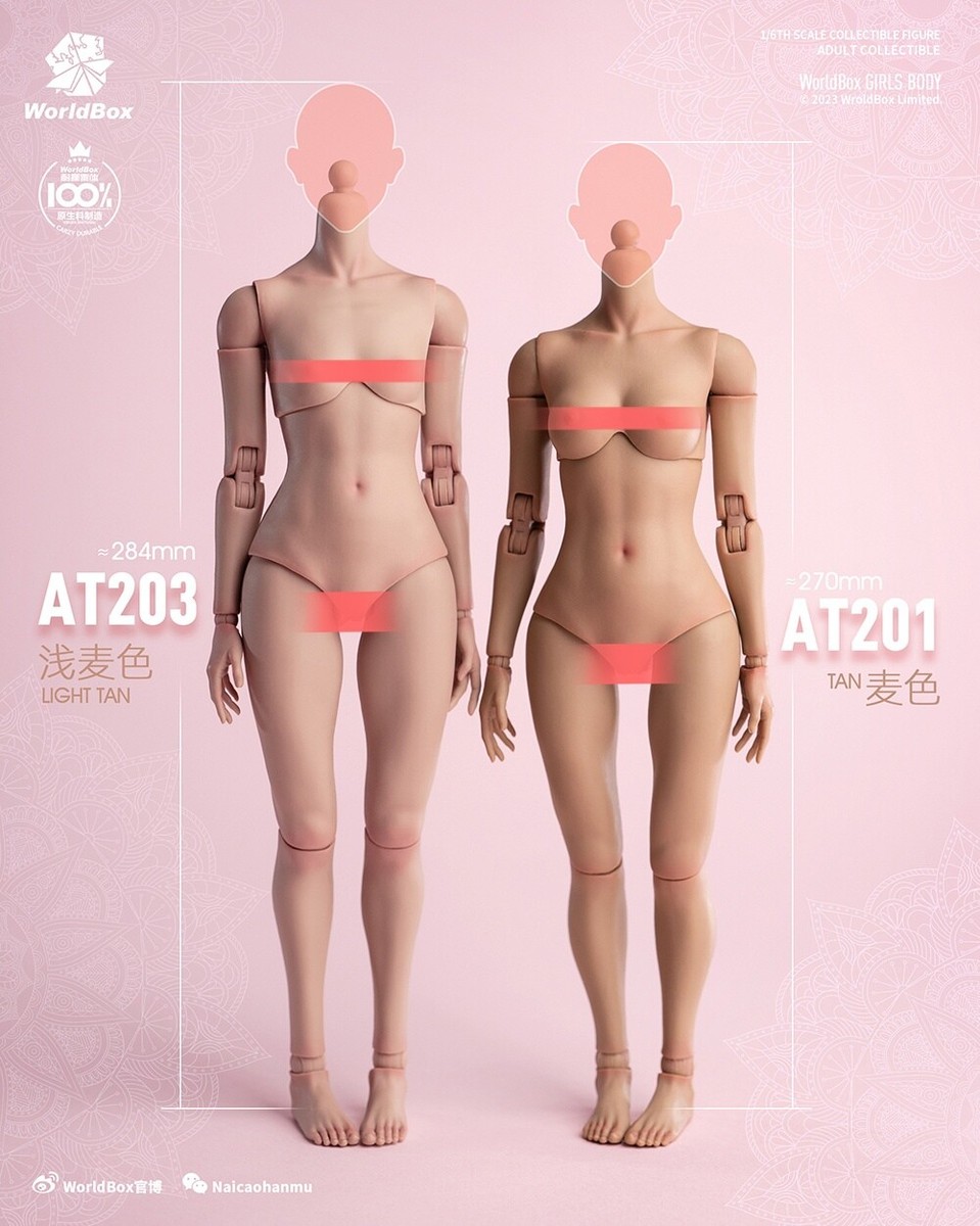 1/6 WorldBox AT203 pale 女性可動フィギュア 衣装セット Worldbox 1:6 AT203 Pale /Wheat Skin Long Leg 12