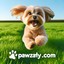 pawzarly