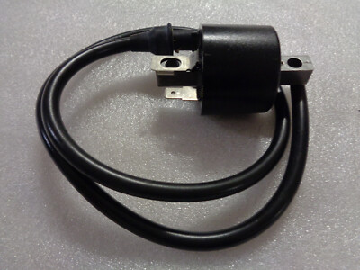 DINLI 902  405ccm Zündspule ( DL-904 )