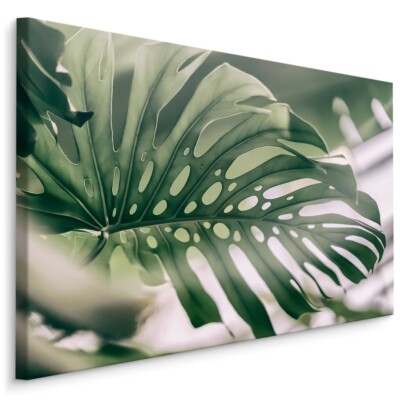 heartleaf philodendron hanging Heart Leaf Philodendron Hanging Basket – Thorn & Petal Florist main image 0