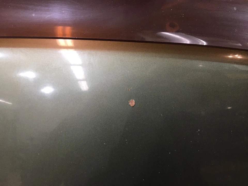 04 NISSAN ARMADA Hood Canteen Paint Chips Small Rust Spot Foto 2 de 4