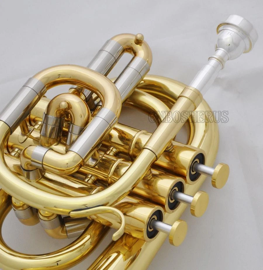 Latón Lacado Llave C Bolsillo Trompeta Cuerno Monel Válvula Nuevo Estuche Foto 3 de 4