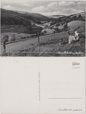 Ansichtskarte Waldeck (am Edersee) Blick ins Tal 1959